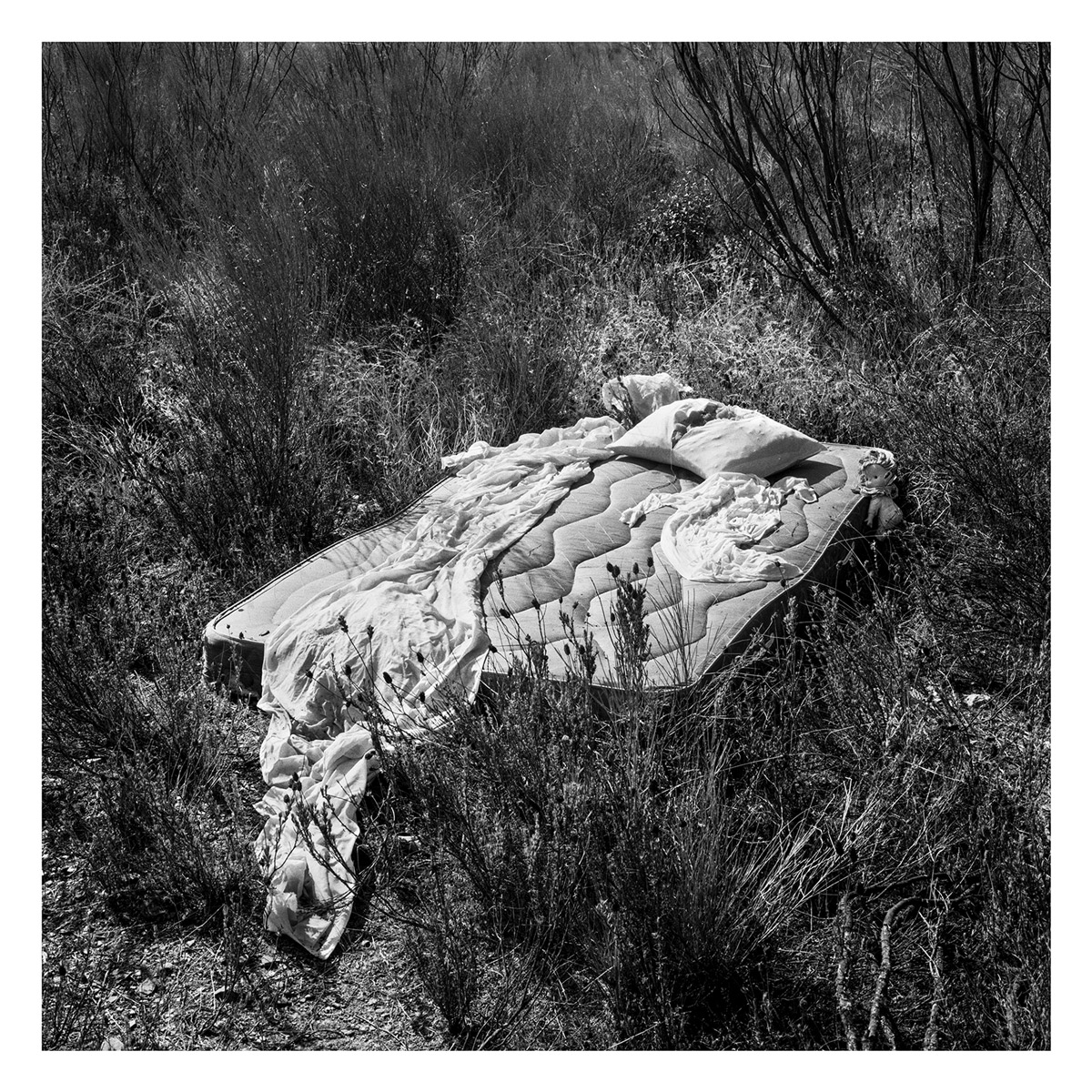 I_ Da natureza das coisas_#03_1999