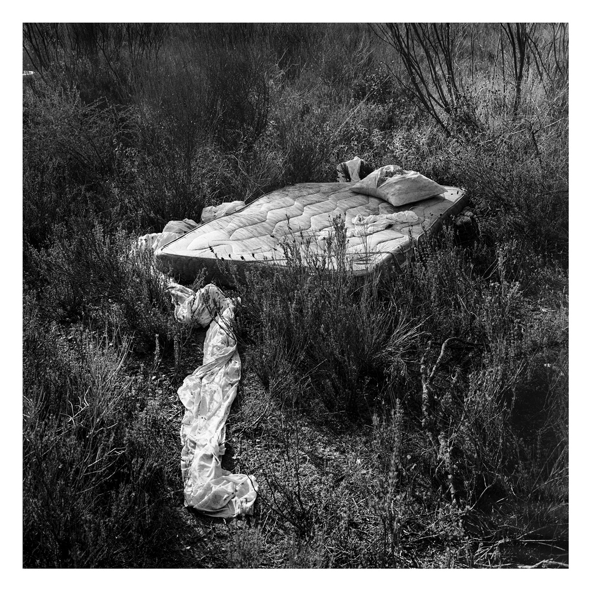 III_ Da natureza das coisas_#2000_05