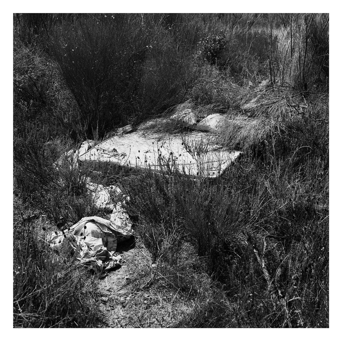 V_ Da natureza das coisas_#11_2002