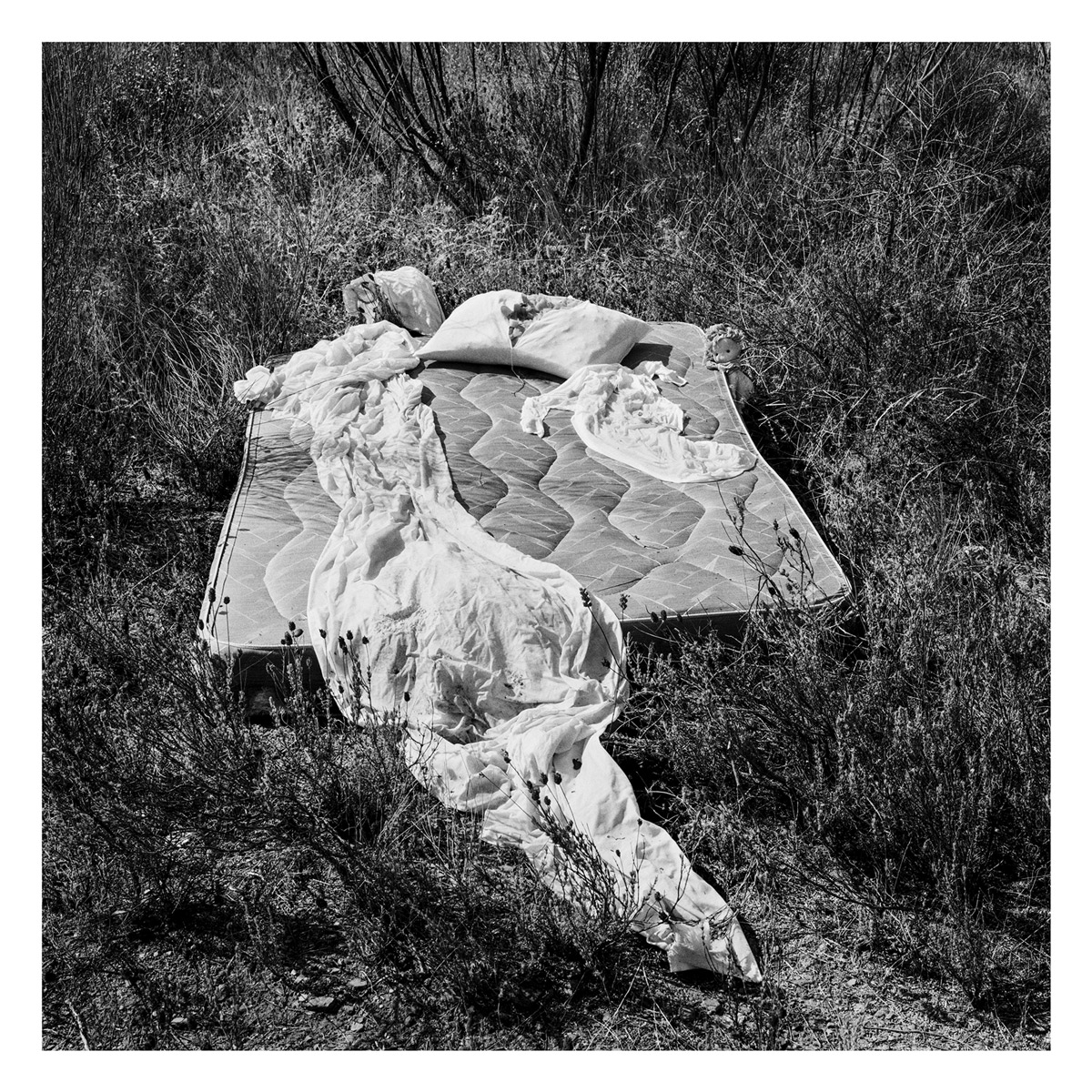 II_ Da natureza das coisas_#04_1999