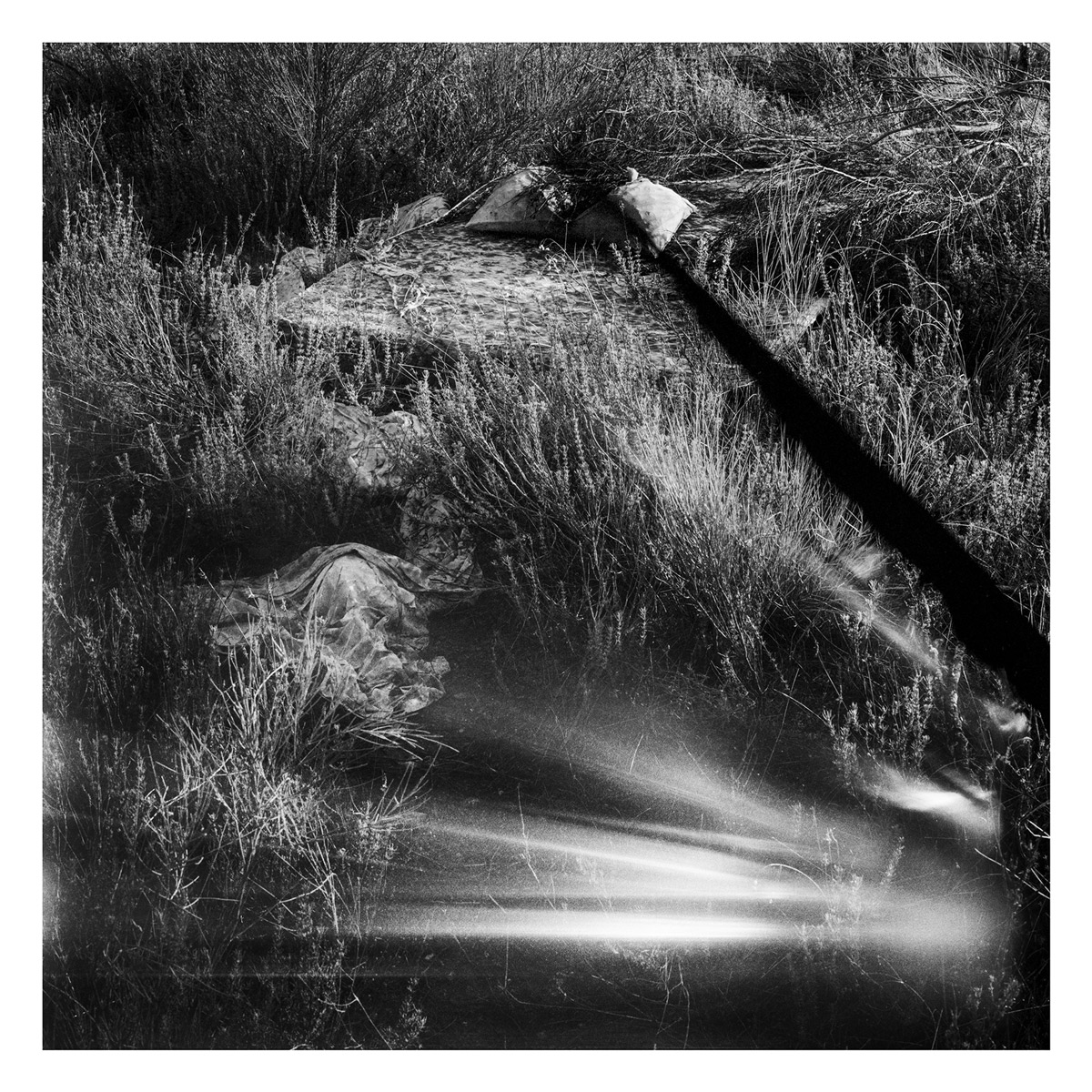 VI_ Da natureza das coisas_#18_2003