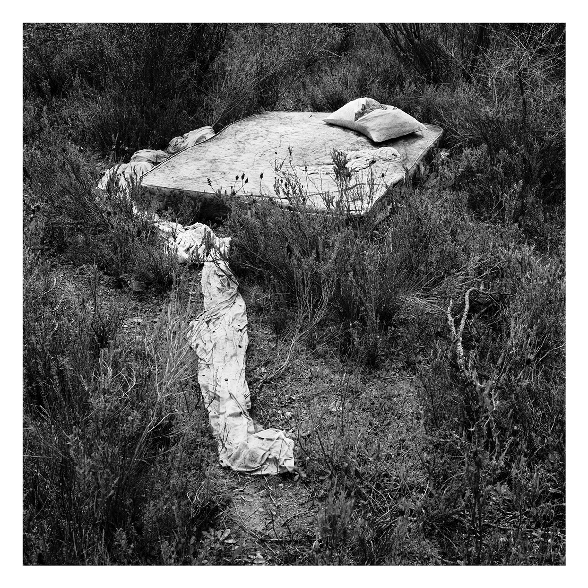 IV _ Da natureza das coisas_#22_2001