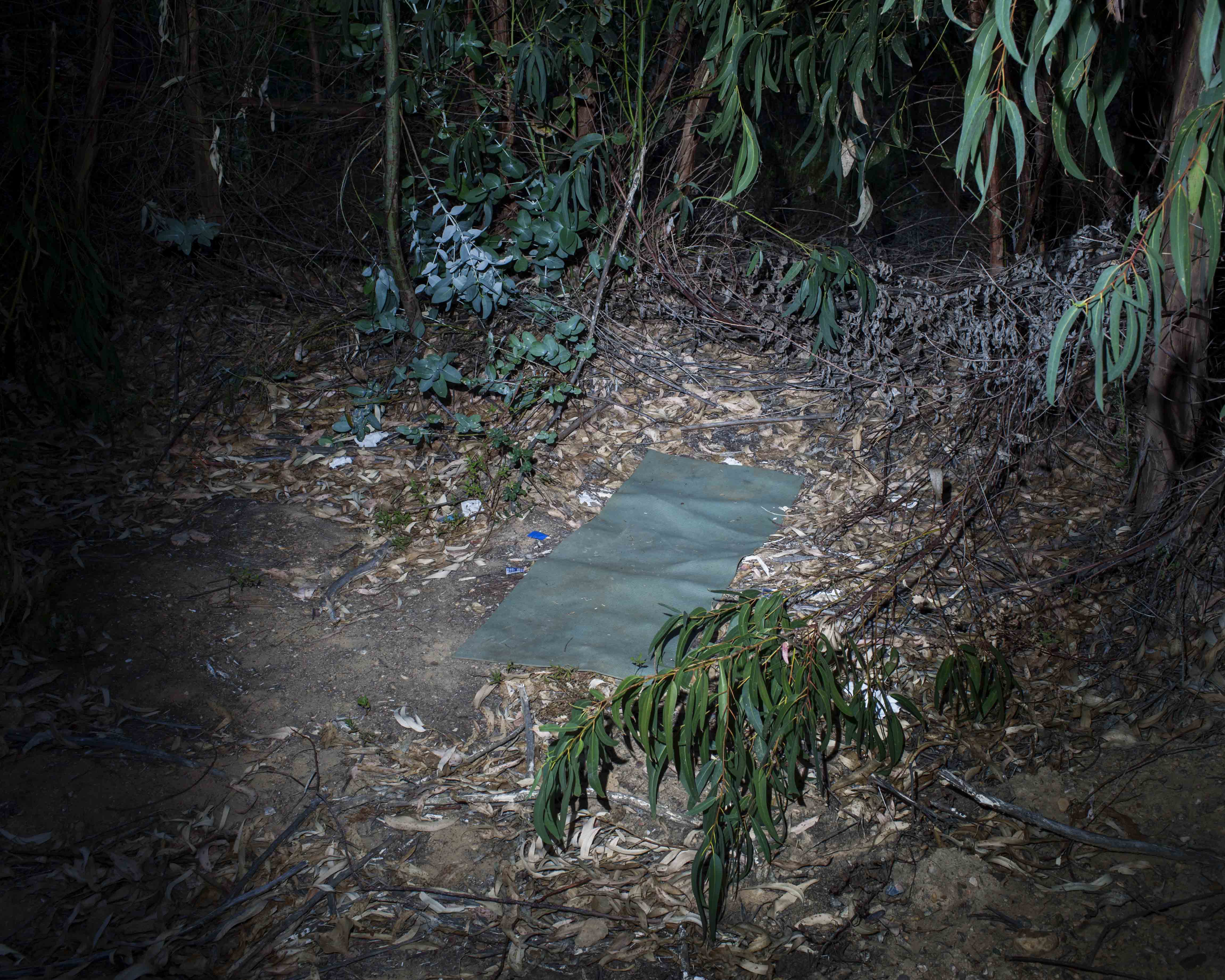 4_MG_6562